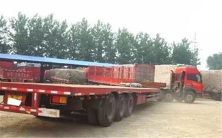 貨運從業資格證調整遇阻 有駕照仍需資格證，道路貨物運輸規范化進程中的陣痛